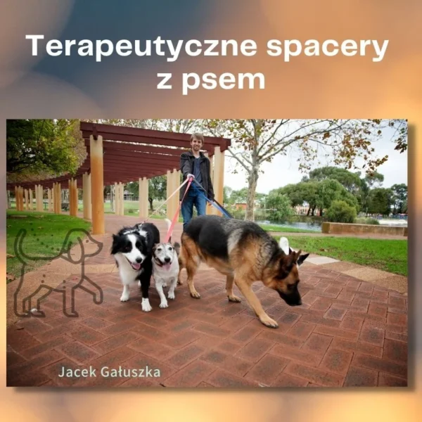Kurs: Terapeutyczne Spacery z Psem