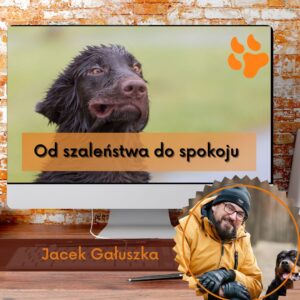 Kurs: Od nowicjusza do eksperta