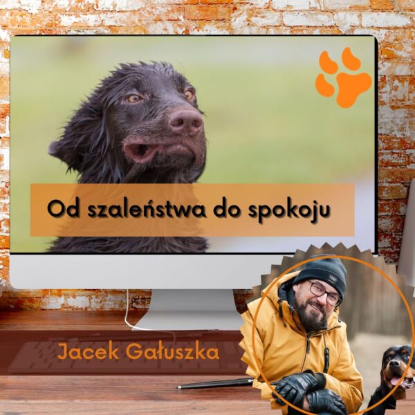 Od szaleństwa do spokoju