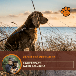 Kurs: Od nowicjusza do eksperta - 3 raty