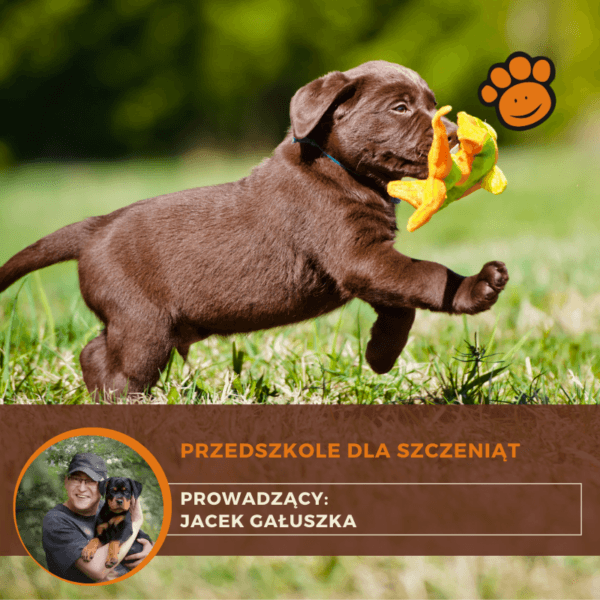 Kurs: Przedszkole dla szczeniąt