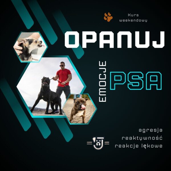 Opanuj emocje psa 26 - 27 kwietnia 2025