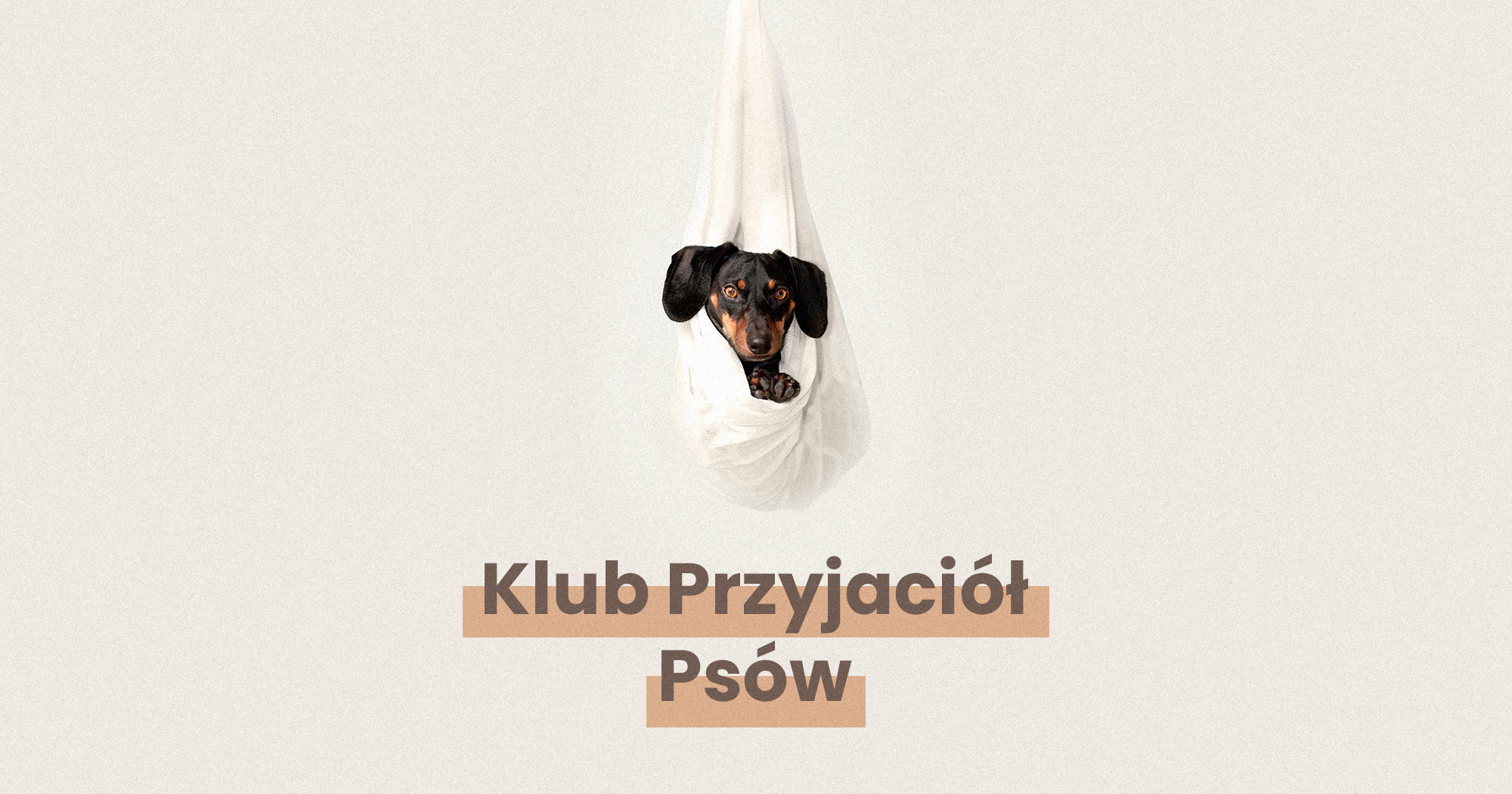 Klubu Przyjaciół Psów